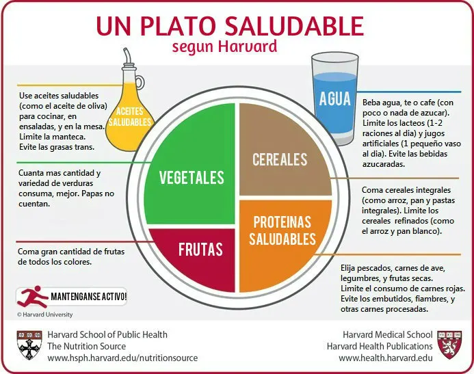 El plato para comer saludable